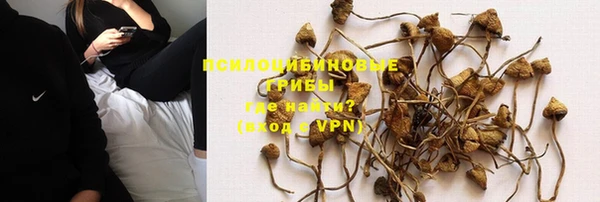 ГАЛЛЮЦИНОГЕННЫЕ ГРИБЫ Алзамай