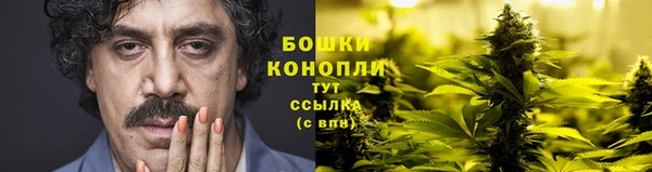 ГАЛЛЮЦИНОГЕННЫЕ ГРИБЫ Алзамай