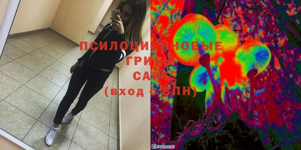 ГАЛЛЮЦИНОГЕННЫЕ ГРИБЫ Алзамай