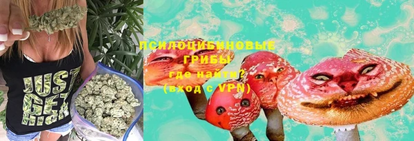 ГАЛЛЮЦИНОГЕННЫЕ ГРИБЫ Алзамай
